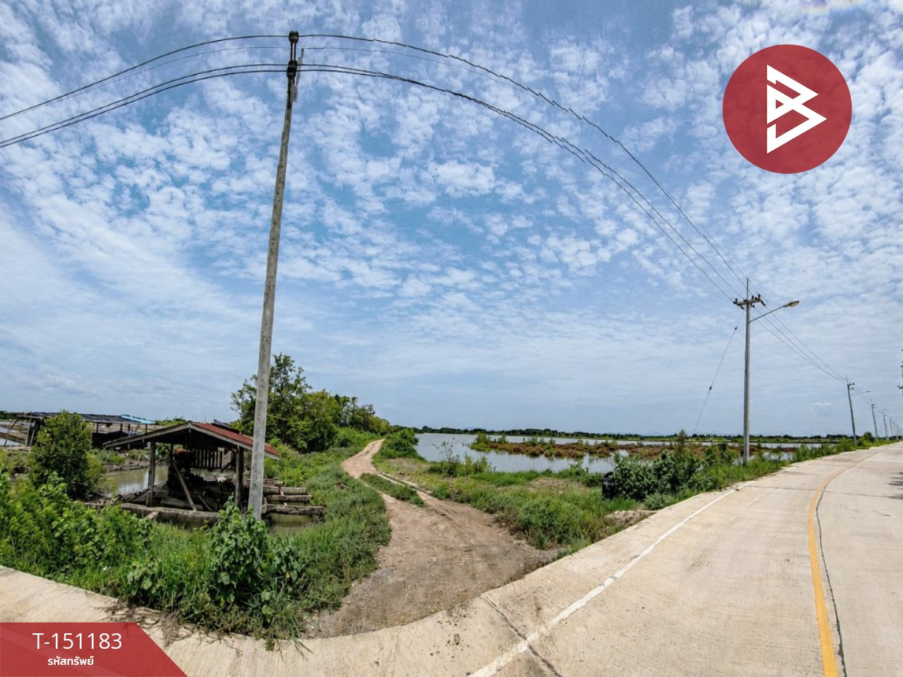 Land for sale, area 59 rai 3 ngan 85 sq m, Ban Laem, Phetchaburi. – รูปที่ 4
