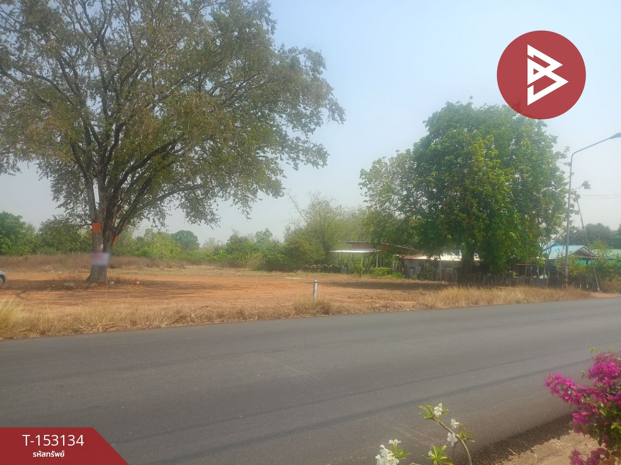 ขายที่ดิน เนื้อที่ 1 งาน 97 ตร.วา น้ำพอง ขอนแก่น – รูปที่ 4