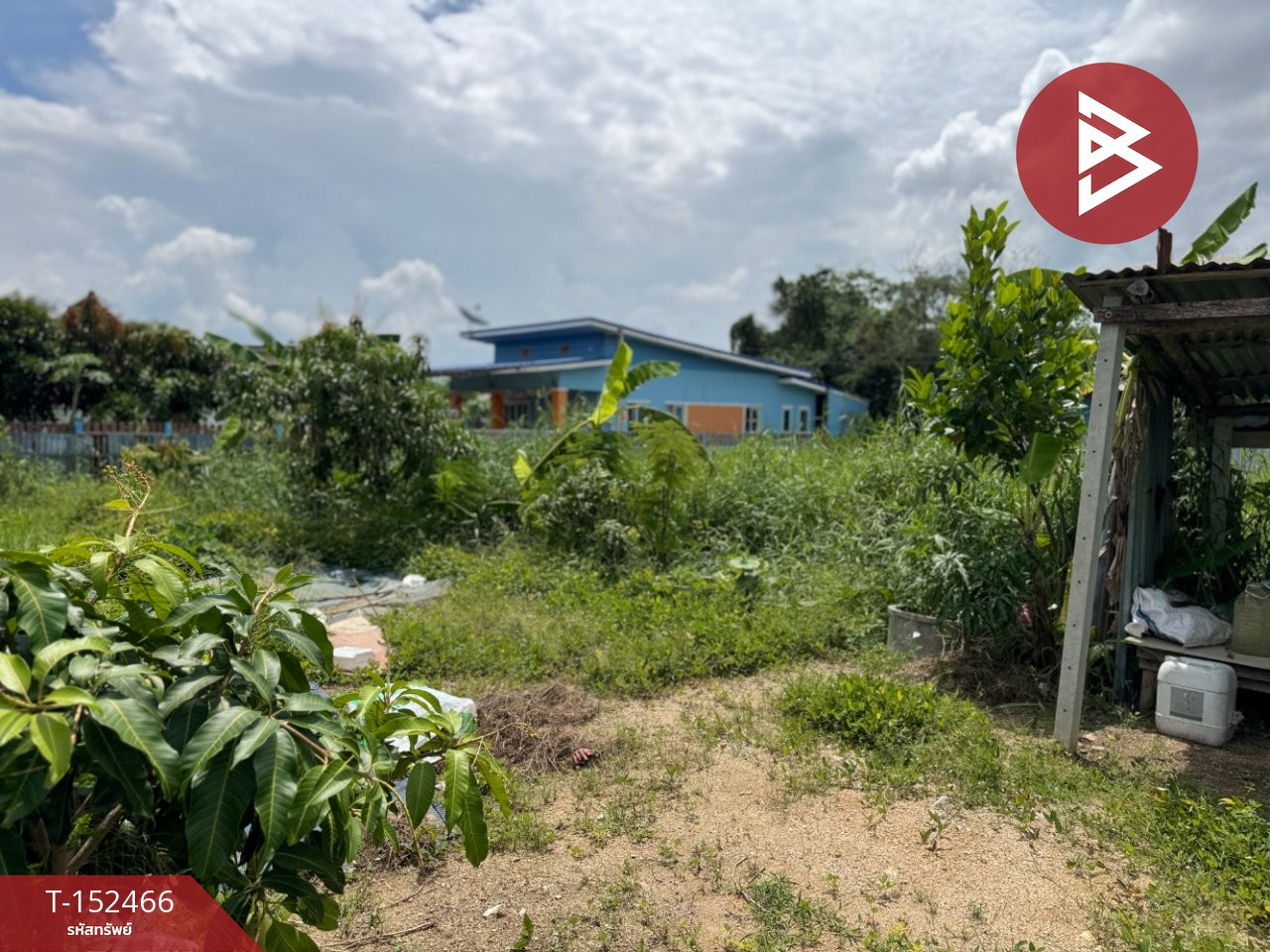 ขายที่ดิน เนื้อที่ 1 งาน บางปะกง ฉะเชิงเทรา – รูปที่ 4