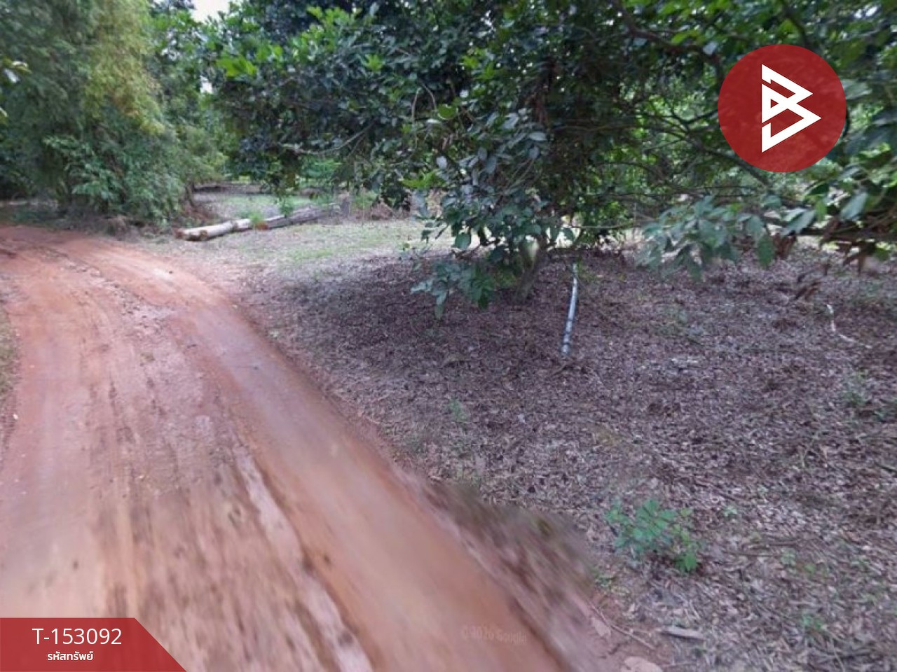 ขายที่ดิน เนื้อที่ 10 ไร่ 2 งาน 49.5 ตร.วา แกลง ระยอง – รูปที่ 2