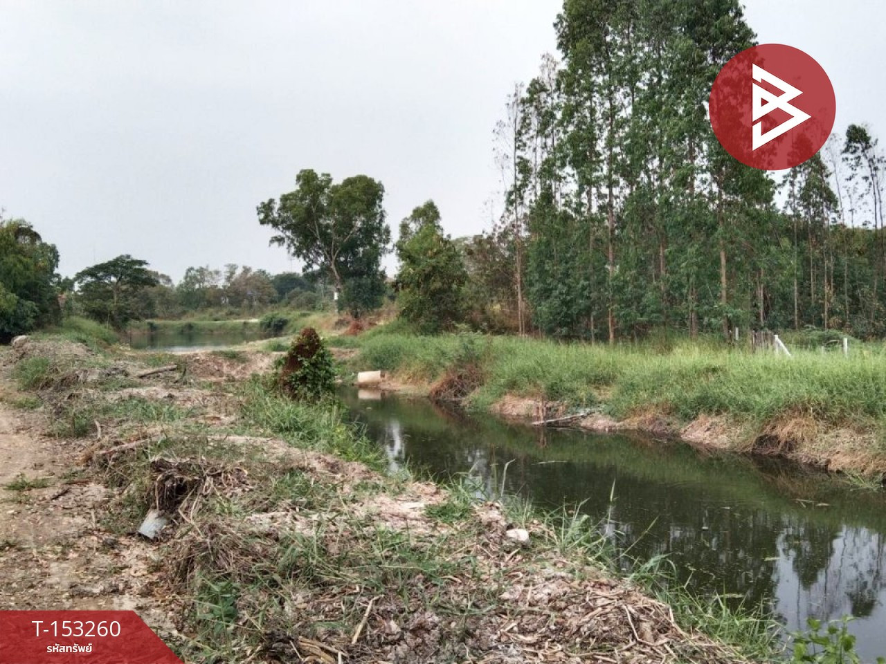 Land for sale, area 1 rai 1 ngan 14 sq m, Phai Ling, Phra Nakhon Si Ayutthaya. – รูปที่ 3
