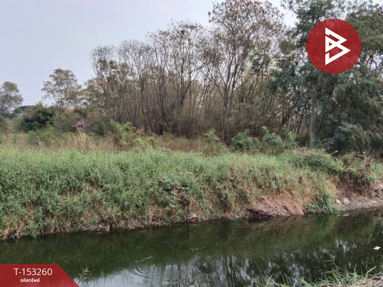 Land for sale, area 1 rai 1 ngan 14 sq m, Phai Ling, Phra Nakhon Si Ayutthaya. – รูปที่ 4
