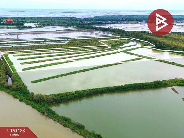 Land for sale, area 59 rai 3 ngan 85 sq m, Ban Laem, Phetchaburi.