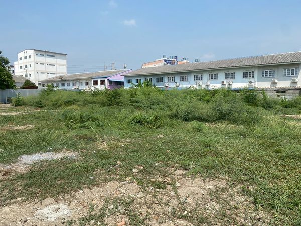 95773 - Urgent sale of vacant land, already filled, Khu Khot, Khlong Song, Lam Luk Ka, Pathum Thani, 195 sq m, title deed ready for transfer, can buy 3 plots in total, 975 sq m, good price, negotiable.