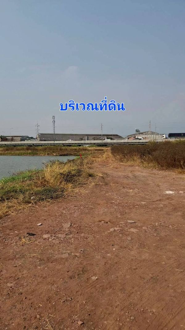 95704 - ขาย ที่ดินจัดสรร 79 ตรว.ใกล้วัดหัวกระบือ, ท่าข้าม, พระราม2,กรุงเทพฯ ใกล้ทางด่วนพระราม