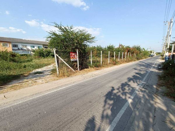 95257 - Urgent sale, empty land, already filled, 390 sq m., Khu Khot, Khlong Song, Lam Luk Ka, Pathum Thani, good location, ready to build.