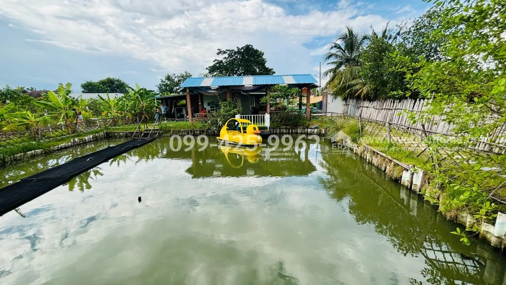 ขายที่ดินกัลปพฤกษ์ พร้อมกิจการคาเฟ่เด็กและศูนย์ฝึกพัฒนาการ My Little Farm สามพราน นครปฐม เนื้อที่ 846.6 ตร.ว. ขายถูกมาก เพียง 5.8 ล้าน – รูปที่ 4