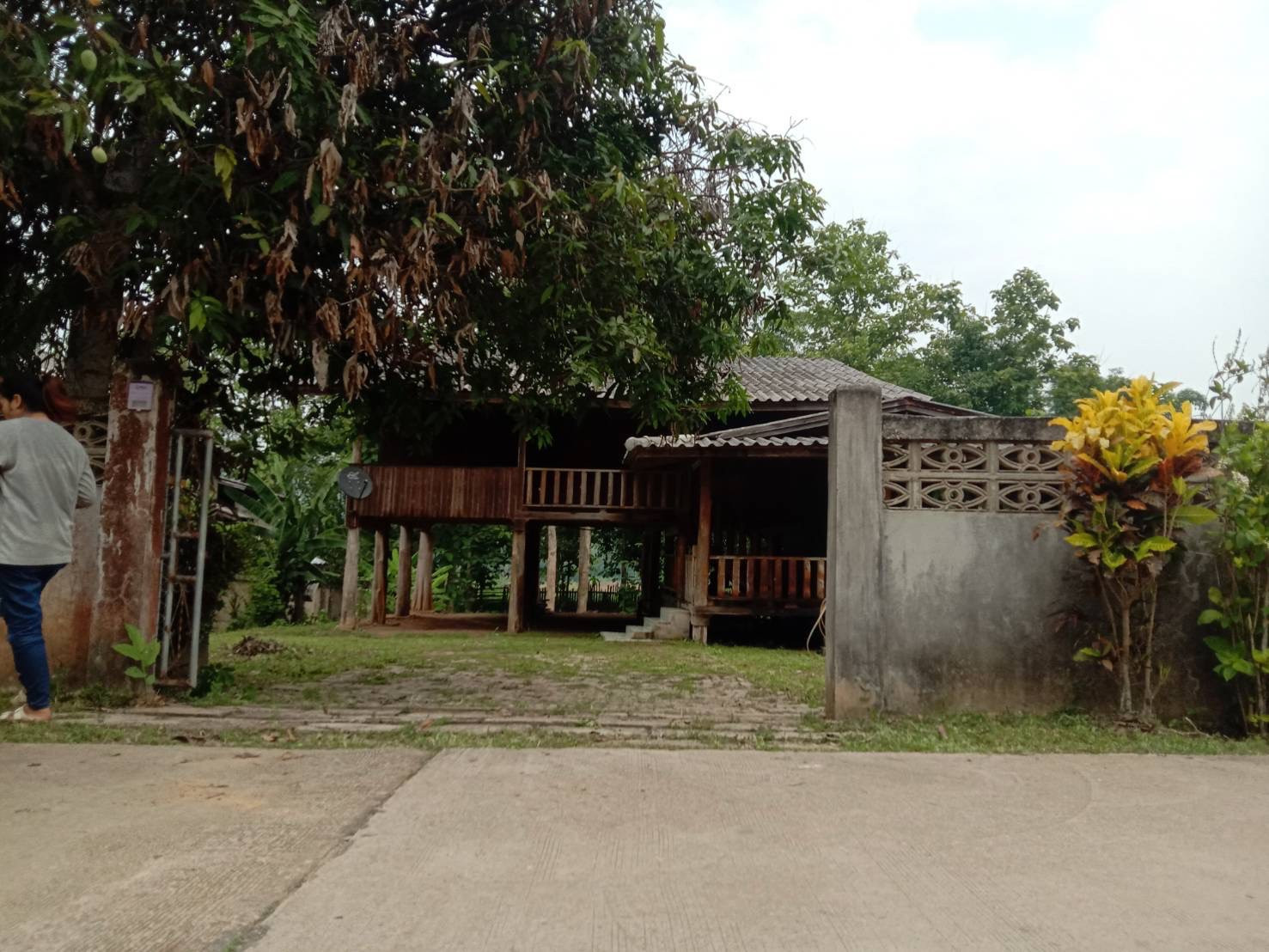 บ้านไม้สวยงาม พร้อมที่ดินผืนใหญ่ – งาว ลำปาง/พะเยา – ขาย!! CHARMING WOODEN HOUSE WITH SPACIOUS LAND PLOT – NGAO, LAMPANG/PHAYAO – FOR SALE!!  – รูปที่ 2