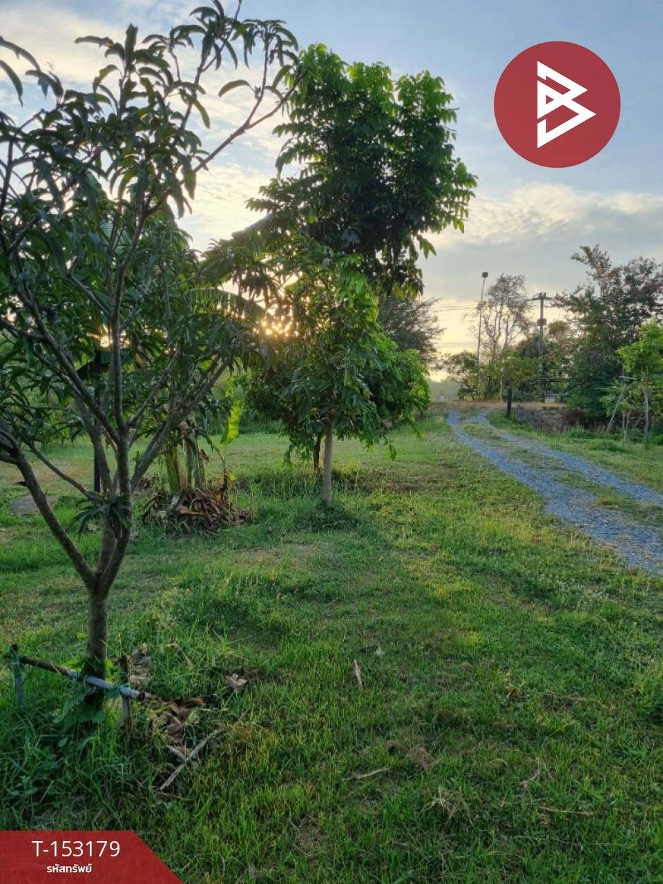 ขายที่ดิน เนื้อที่ 2 ไร่ 2 งาน 12 ตร.วา สามโคก ปทุมธานี – รูปที่ 3
