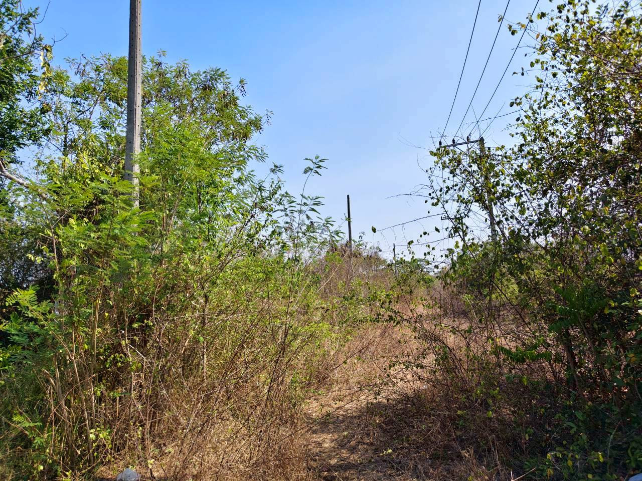 95618 - ขายที่ดินเปล่า หัวหิน ใกล้ Black Mountain