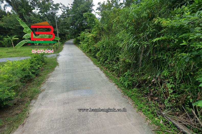 ที่ดินเปล่า เนื้อที่ 2-1-31.7 ไร่ ใกล้วัดมะม่วงตลอด ถนนเลียบคลองคูพาย ตำบลนาสาร อำเภอเมืองนครศรีธรรมราช จังหวัดนครศรีธรรมราช – รูปที่ 2
