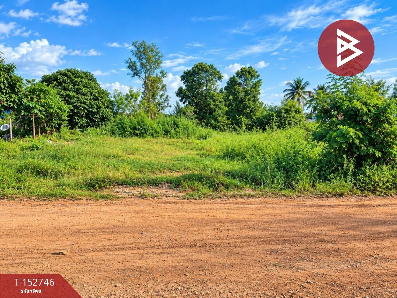 Land for sale, area 2 rai 2 ngan 50 square wah, Kuchinarai, Kalasin. – รูปที่ 2