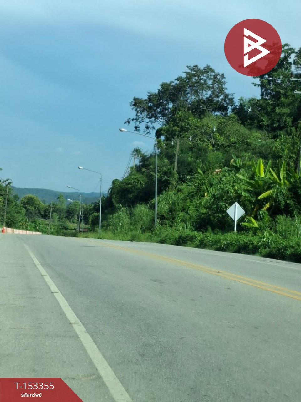 ขายที่ดิน เนื้อที่ 1 งาน 80 ตร.วา ดอยลาน เชียงราย – รูปที่ 2