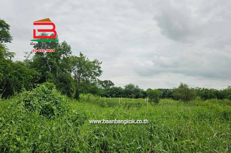 Empty land, Rungruang Thanyaburi Khlong 9 project, area 216 sq m, near Nong Suea Police Station. Rangsit-Nakhon Nayok Road, Bueng Ba Subdistrict, Nong Suea District, Pathum Thani – รูปที่ 2