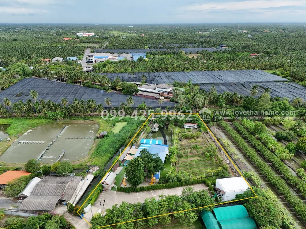 ขายที่ดินกัลปพฤกษ์ พร้อมกิจการคาเฟ่เด็กและศูนย์ฝึกพัฒนาการ My Little Farm สามพราน นครปฐม เนื้อที่ 846.6 ตร.ว. ขายถูกมาก เพียง 5.8 ล้าน – รูปที่ 2