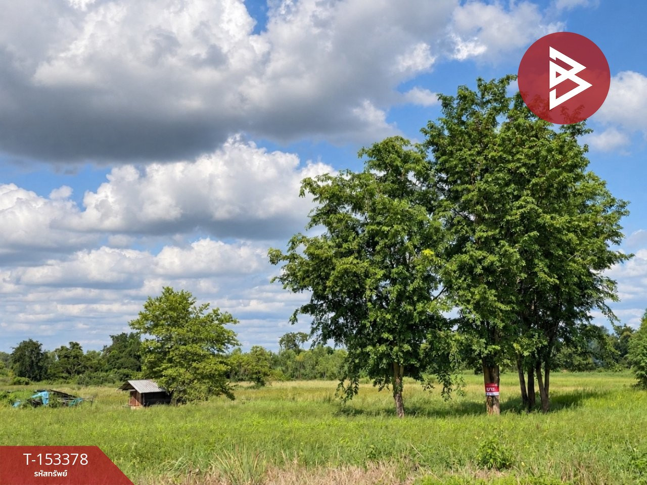 Land for sale, area 4 rai 3 ngan 63.3 square wah, Ban Nong Tae, Ubonrat, Khon Kaen.