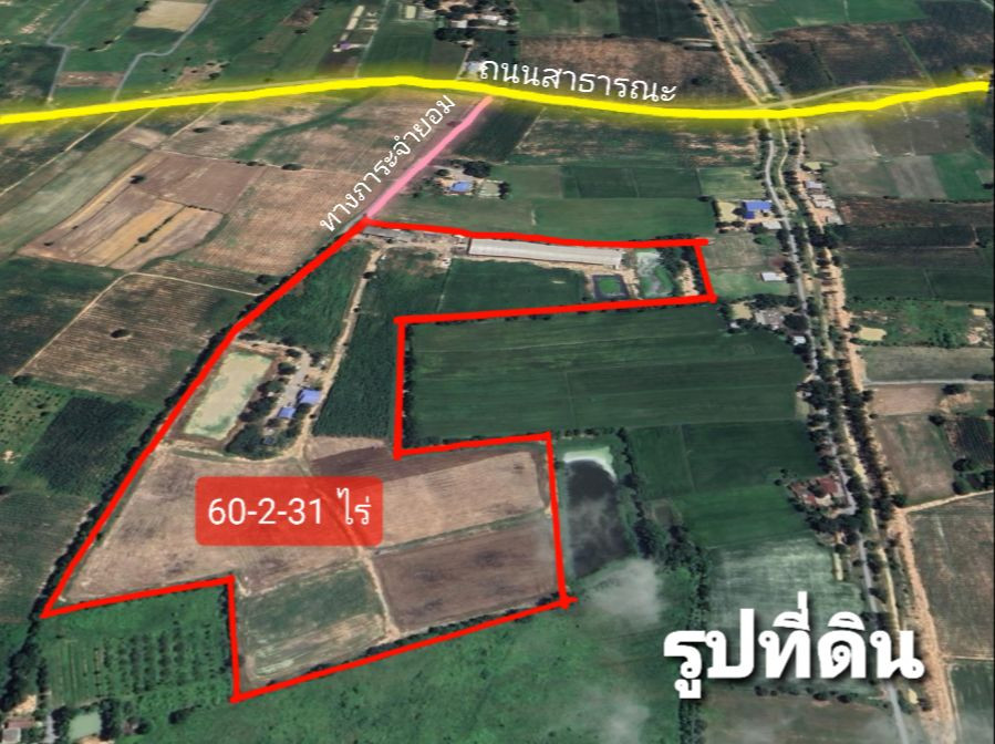 95451 - ขายด่วน ที่ดินดอนเจดีย์ แปลงใหญ่ 60 ไร มีรั้วปูนรอบแนวเขตที่ดินแล้ว