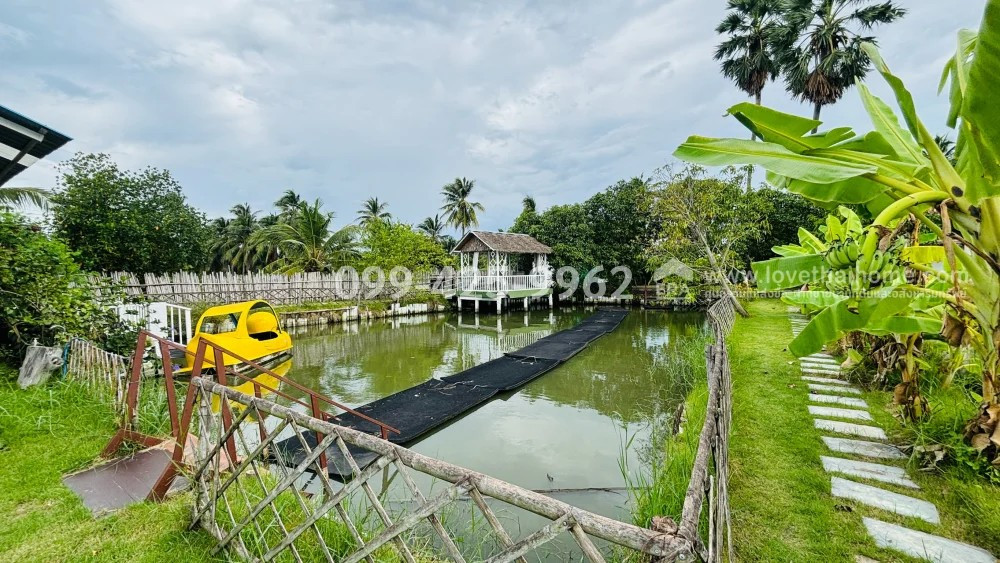 ขายที่ดินกัลปพฤกษ์ พร้อมกิจการคาเฟ่เด็กและศูนย์ฝึกพัฒนาการ My Little Farm สามพราน นครปฐม เนื้อที่ 846.6 ตร.ว. ขายถูกมาก เพียง 5.8 ล้าน – รูปที่ 3