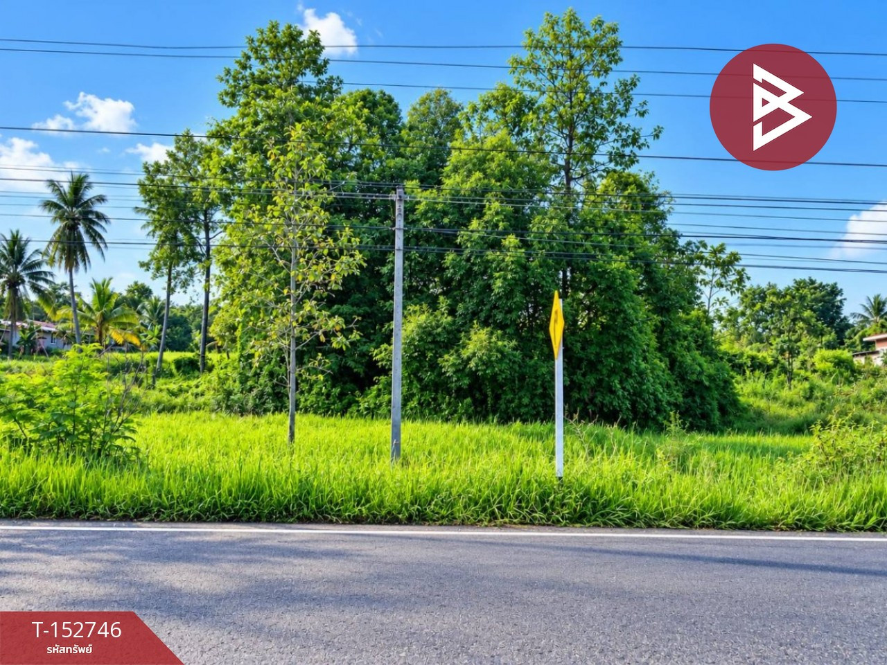 Land for sale, area 2 rai 2 ngan 50 square wah, Kuchinarai, Kalasin.