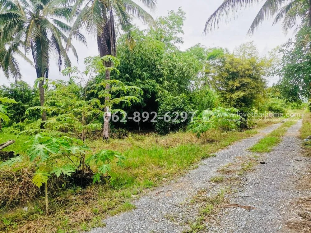 ขายที่ดิน ต.จรเข้สามพัน อ.อู่ทอง จ.สุพรรณบุรี ที่สวย ขนาด 4 ไร่ ที่สวน ทำเลดี บรรยากาศสุดร่มรื่น! พิเศษเพียง 320,000 บาท/ไร่ (ราคารวมยกแปลงเพียง 1,280,000 บาทเท่านั้น!) ราคานี้ถูกที่สุดในย่านนี้! ได้แปลงใหญ่ บรรยากาศดี รายล้อมด้วยธรรมชาติ – รูปที่ 4