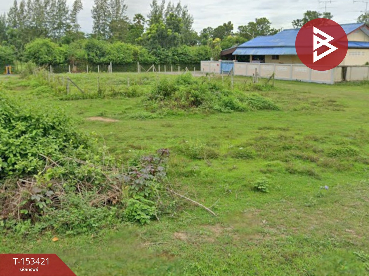 ขายที่ดิน เนื้อที่ 1 งาน นาวุ้ง เพชรบุรี – รูปที่ 3