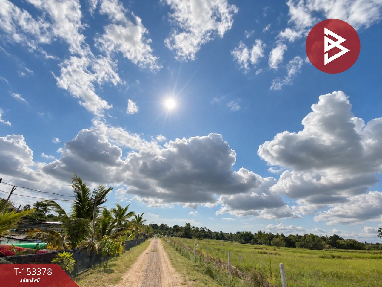 Land for sale, area 4 rai 3 ngan 63.3 square wah, Ban Nong Tae, Ubonrat, Khon Kaen. – รูปที่ 4