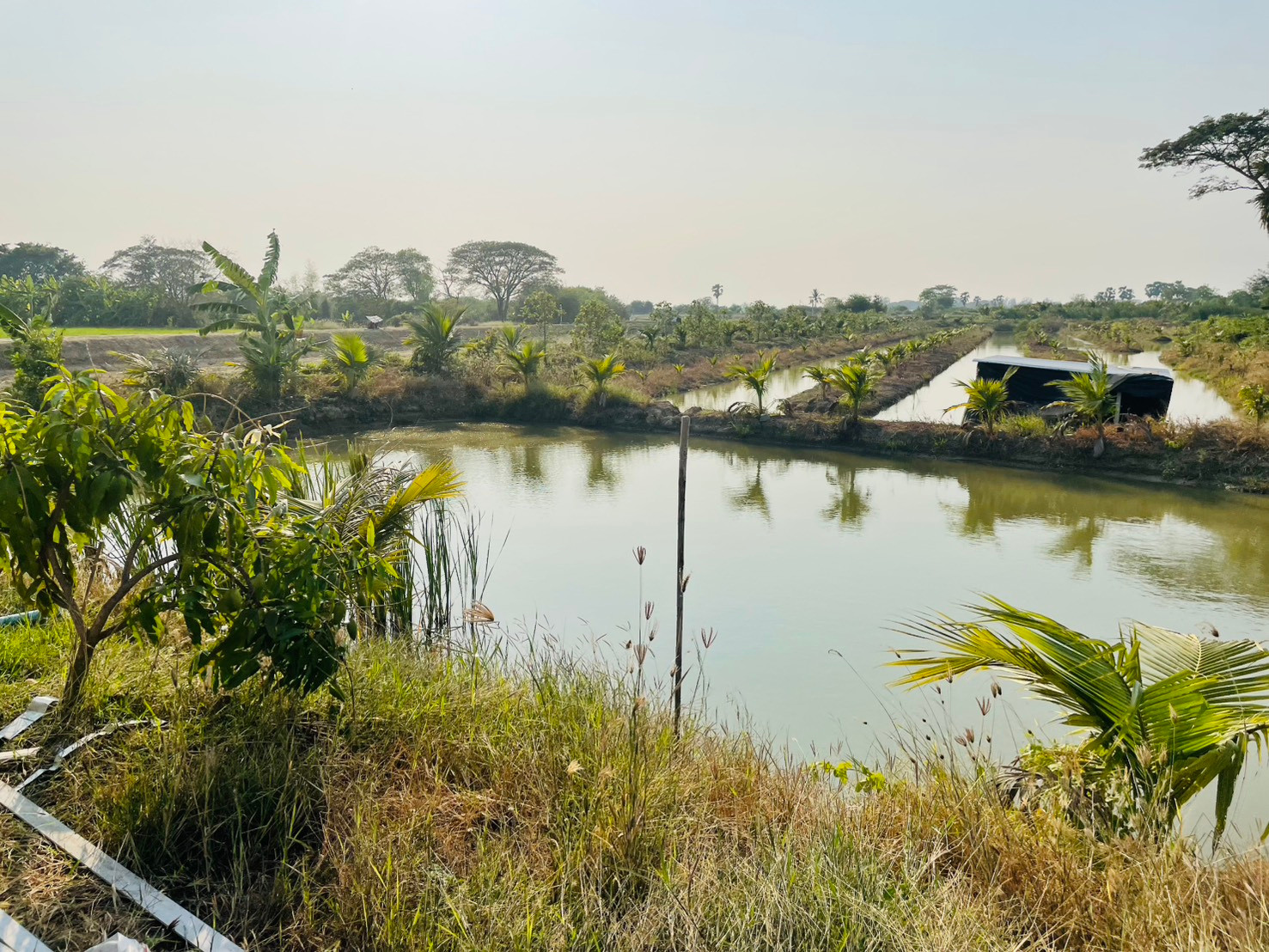 ที่ดินเกษตร พร้อมบ้านหลังเล็ก – นครปฐม – ขาย!! AGRICULTURAL LAND WITH SMALL HOUSE – NAKHON PATHOM – FOR SALE!! ที่ดินเกษตร พร้อมบ้านหลังเล็ก – นครปฐม – ขาย!! AGRICULTURAL LAND WITH SMALL HOUSE – NAKHON PATHOM – FOR SALE!!