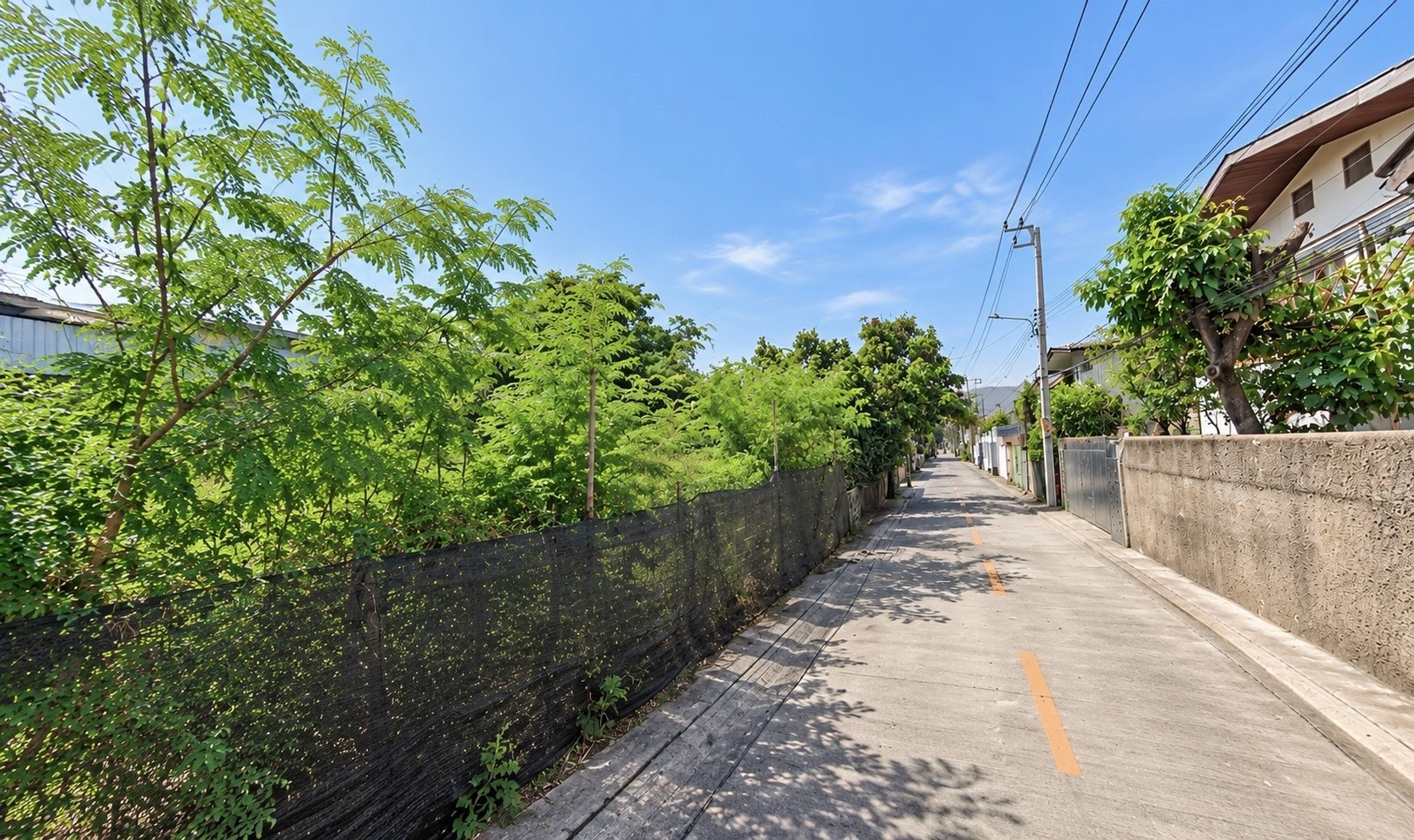 Empty land for sale, Soi Sukhumvit 97/1, next to the main road, near BTS Bang Chak. – รูปที่ 2