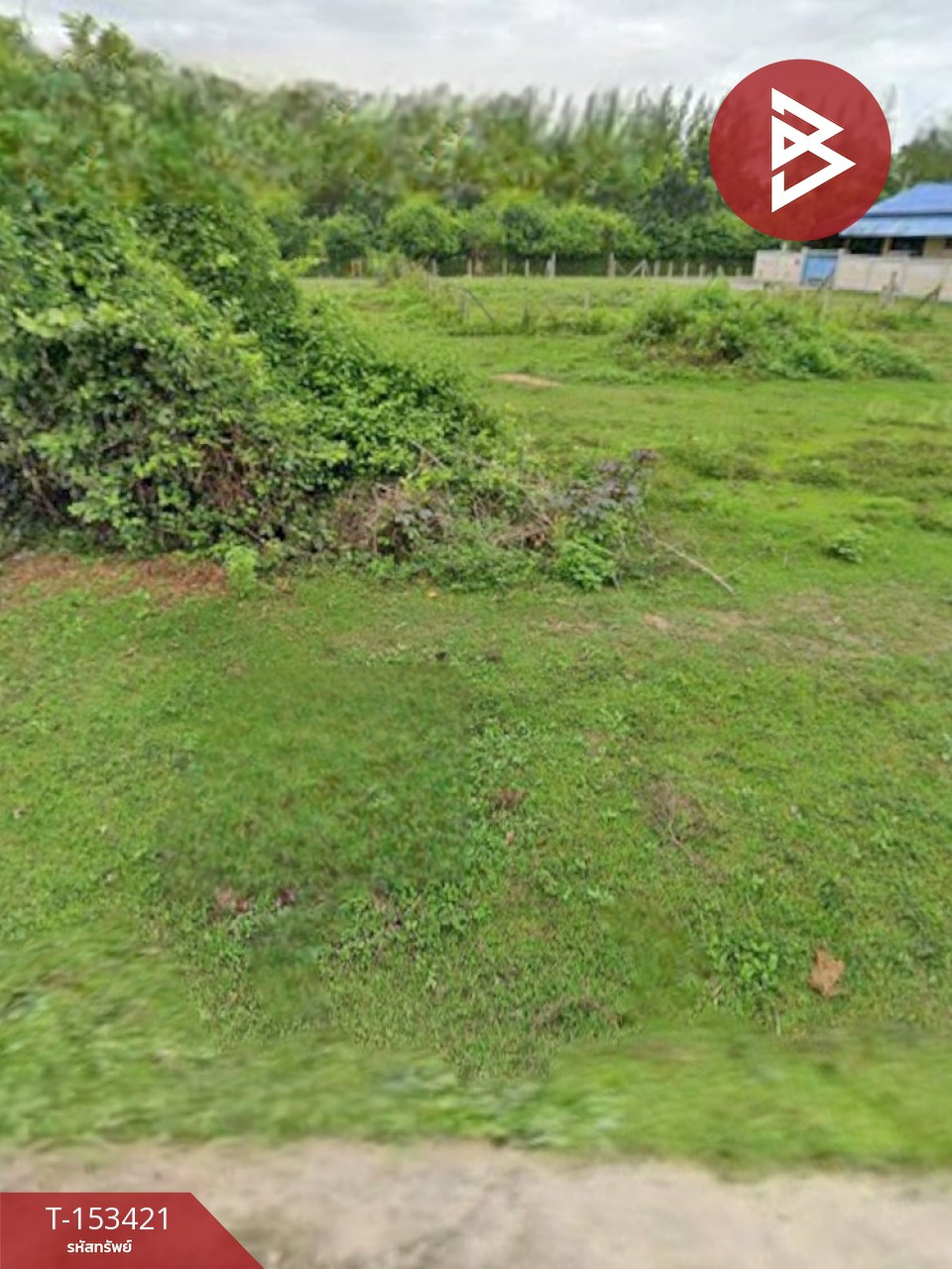 ขายที่ดิน เนื้อที่ 1 งาน นาวุ้ง เพชรบุรี – รูปที่ 2