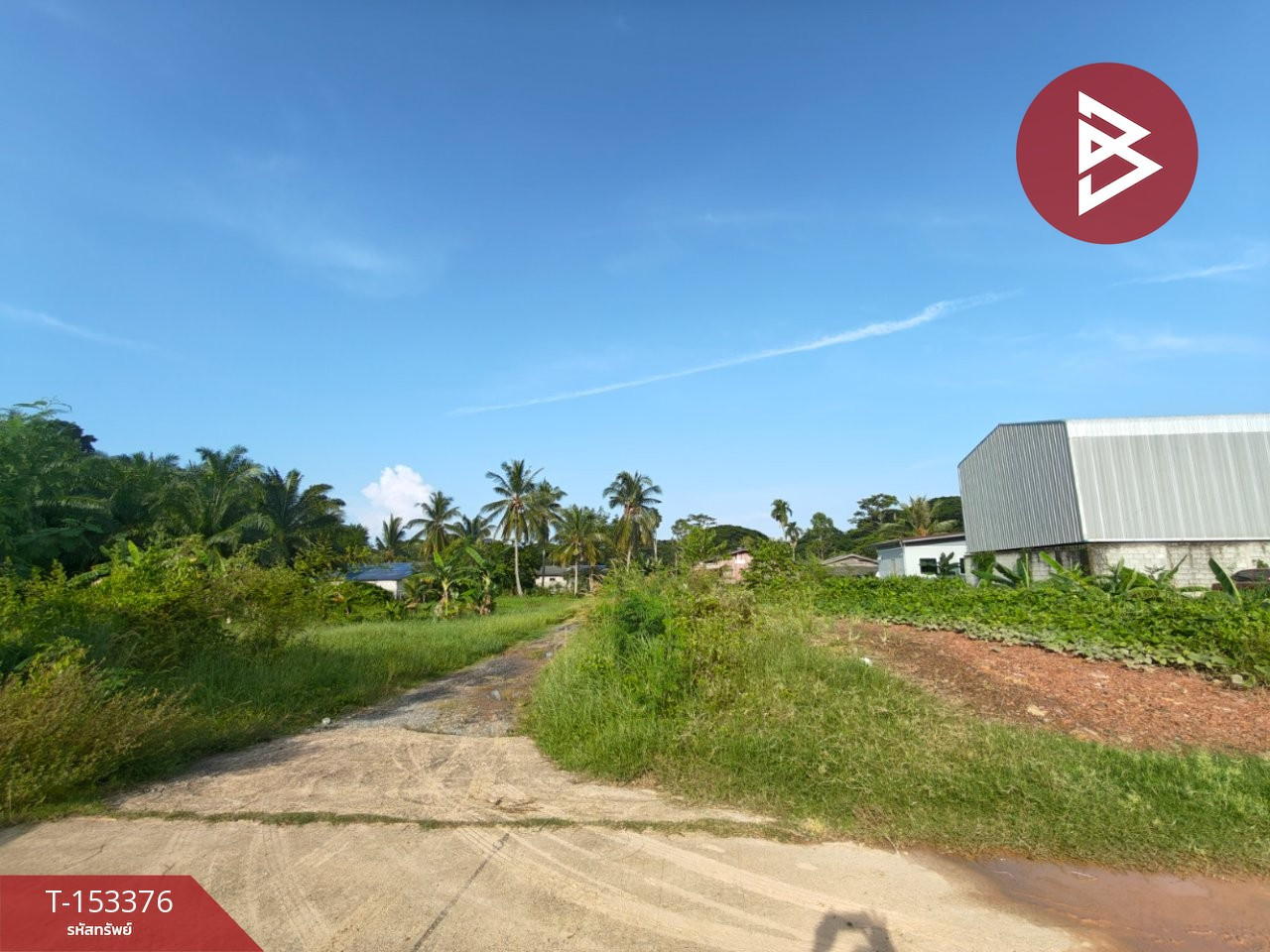 ขายที่ดิน เนื้อที่ 46.2 ตร.วา ท่าซัก นครศรีธรรมราช – รูปที่ 2