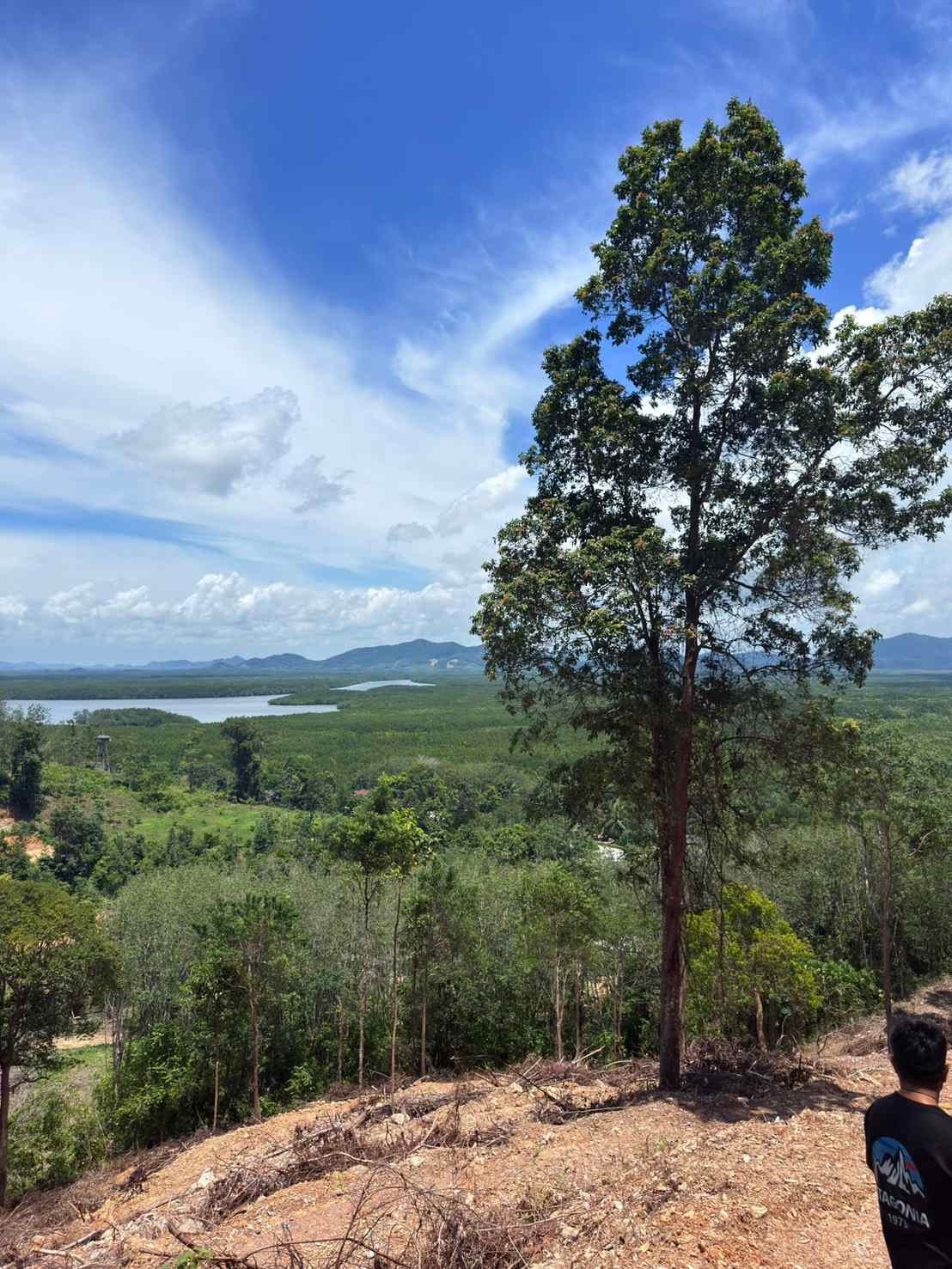 Empty land for sale, good location, near Sirilanta Bridge. Krabi Province