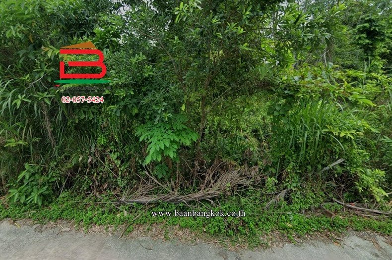 ที่ดินเปล่า เนื้อที่ 2-1-31.7 ไร่ ใกล้วัดมะม่วงตลอด ถนนเลียบคลองคูพาย ตำบลนาสาร อำเภอเมืองนครศรีธรรมราช จังหวัดนครศรีธรรมราช – รูปที่ 3