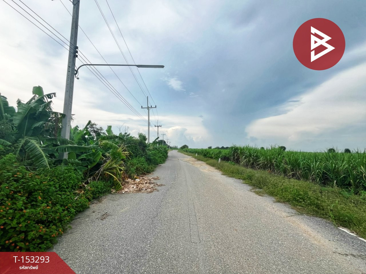 ขายที่ดิน เนื้อที่ 8 ไร่ 3 งาน 53 ตร.วา ท่ามะกา กาญจนบุรี – รูปที่ 3