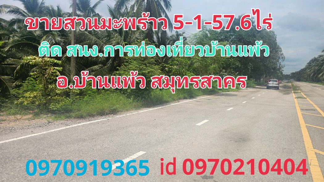 For sale: Coconut plantation land in Ban Phaeo, 5 rai 1 ngan 57.6 square wah, adjacent to the Ban Phaeo Tourism Office, Ban Phaeo District.
