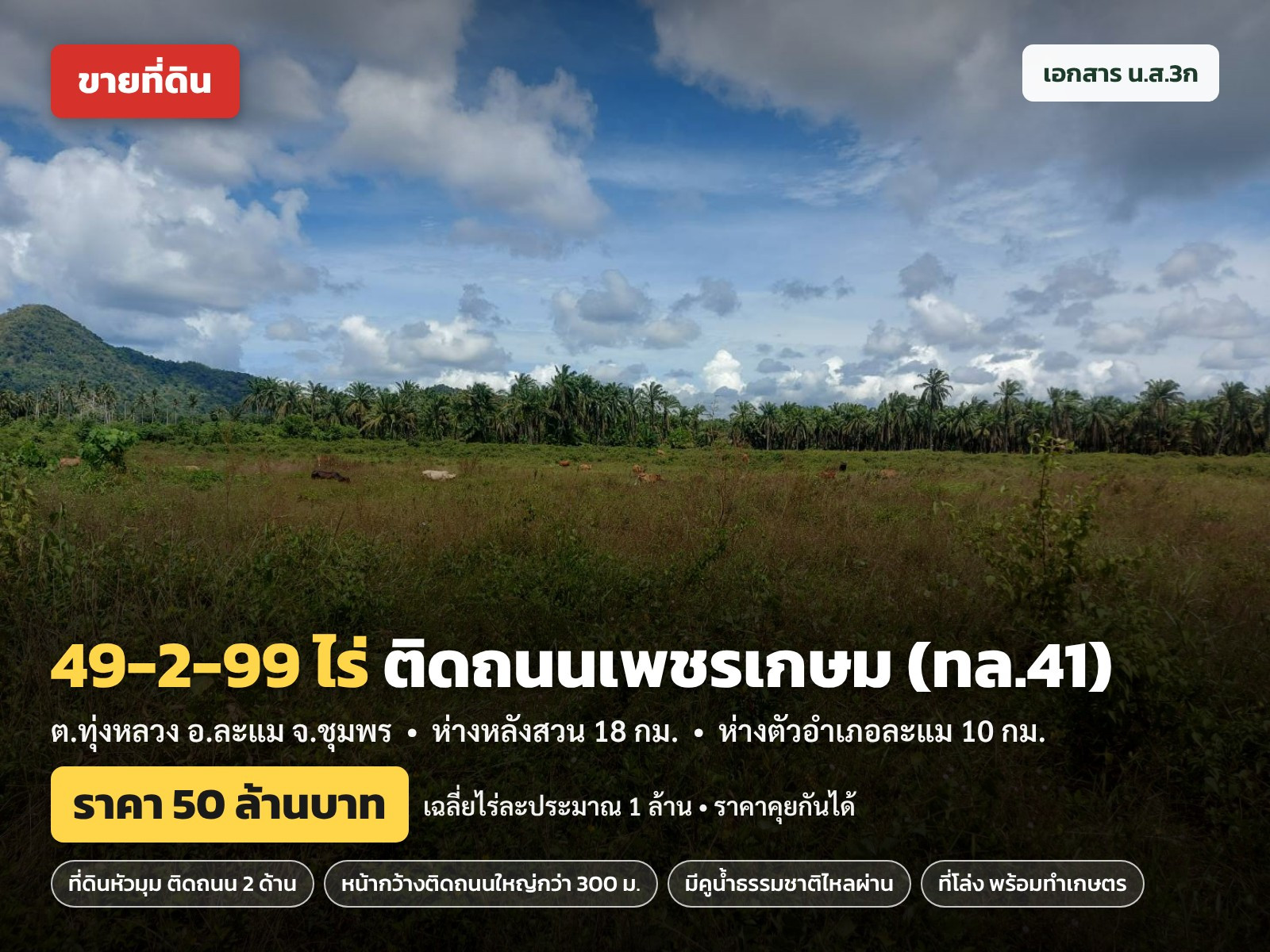 Land for sale, 49-2-99 rai, next to Phetkasem Road (Highway 41), corner land, next to the road on 2 sides, Lamae, Chumphon, price 50 million.