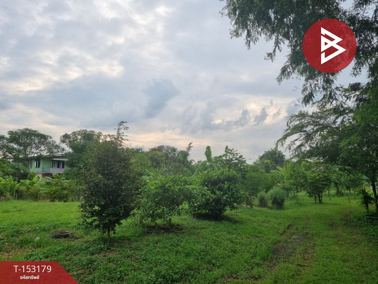 ขายที่ดิน เนื้อที่ 2 ไร่ 2 งาน 12 ตร.วา สามโคก ปทุมธานี – รูปที่ 2