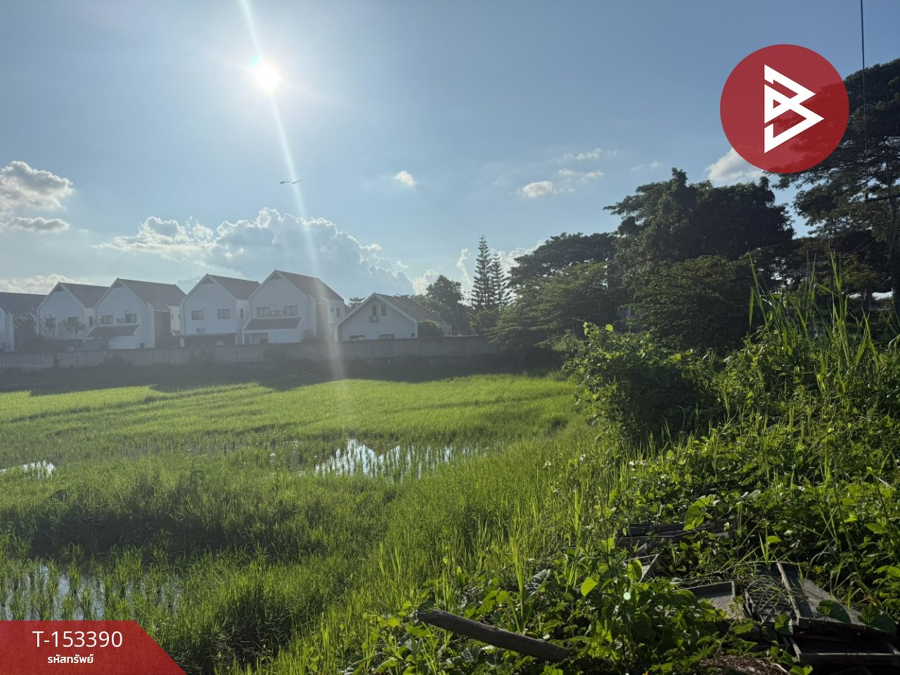 ขายที่ดิน เนื้อที่ 2 ไร่ 3 งาน 21 ตร.วา สันทราย เชียงใหม่ – รูปที่ 4