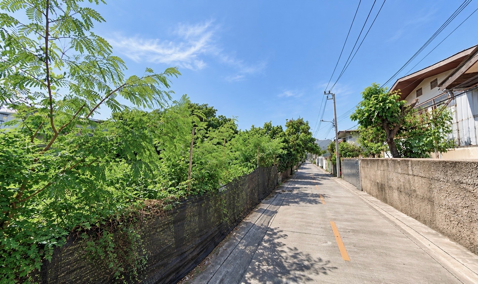 Empty land for sale, Soi Sukhumvit 97/1, next to the main road, near BTS Bang Chak.
