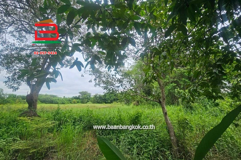 Empty land, Rungruang Thanyaburi Khlong 9 project, area 216 sq m, near Nong Suea Police Station. Rangsit-Nakhon Nayok Road, Bueng Ba Subdistrict, Nong Suea District, Pathum Thani – รูปที่ 3