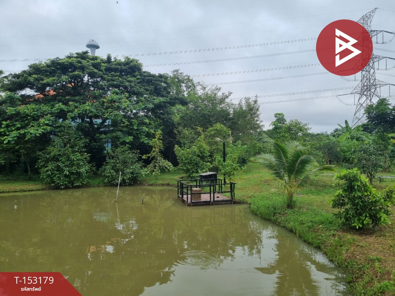ขายที่ดิน เนื้อที่ 2 ไร่ 2 งาน 12 ตร.วา สามโคก ปทุมธานี – รูปที่ 4