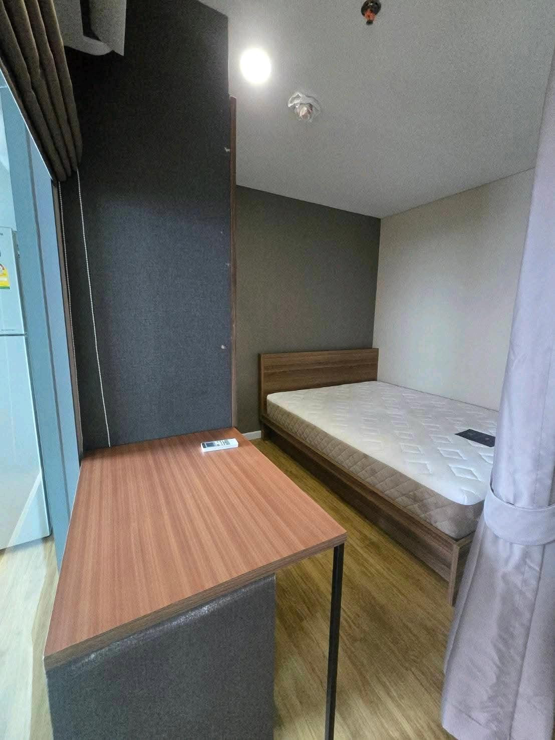 Siamese Nanglinchee for sale, hot price @best_condo