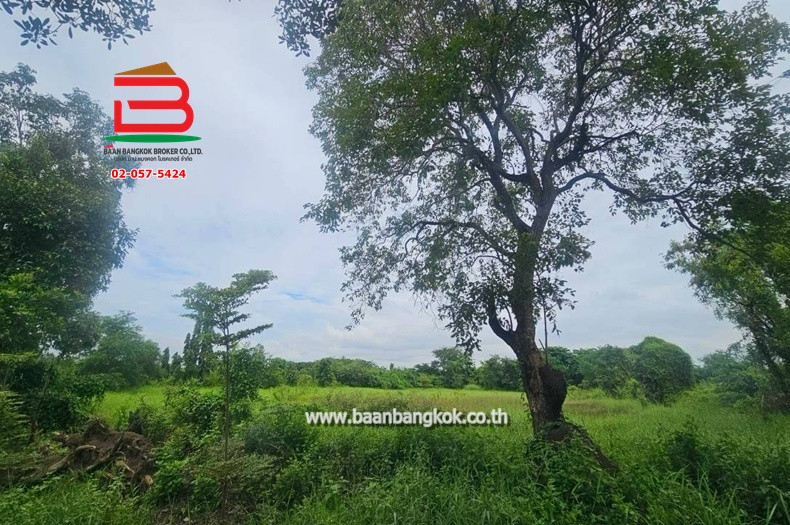 Empty land, Rungruang Thanyaburi Khlong 9 project, area 216 sq m, near Nong Suea Police Station. Rangsit-Nakhon Nayok Road, Bueng Ba Subdistrict, Nong Suea District, Pathum Thani – รูปที่ 4