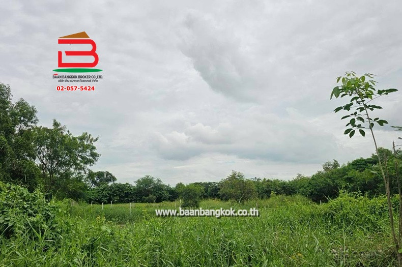 Empty land, Rungruang Thanyaburi Khlong 9 project, area 216 sq m, near Nong Suea Police Station. Rangsit-Nakhon Nayok Road, Bueng Ba Subdistrict, Nong Suea District, Pathum Thani