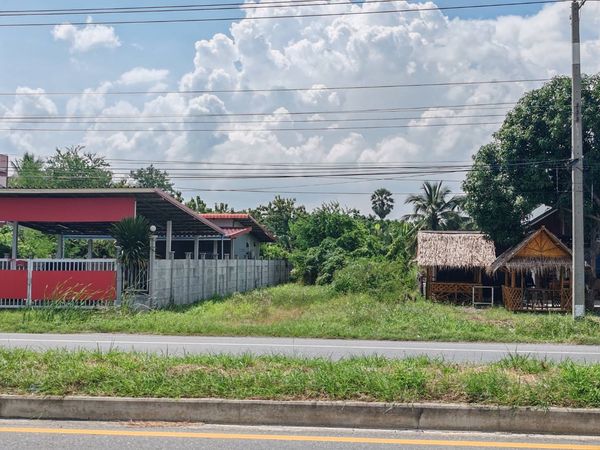 ขายที่ดินเปล่าติดถนนอู่ทองท่าน้ำอ้อย 90 ตร.วา หน้ากว้าง 10 เมตร ใกล้ชุมชน เหมาะลงทุนระยะยาว สุพรรณบุรี 