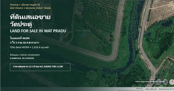 ขายที่ดิน 3 ไร่ 2 งาน 16.4 ตารางวา วัดประดู่ สุราษฎร์ธานี ถนนลาดยางเข้าได้ ทำเลดี