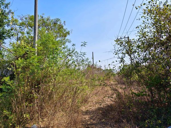 95618 - ขายที่ดินเปล่า หัวหิน ใกล้ Black Mountain