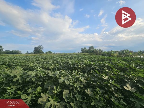 Land for sale, area 7 rai 3 ngan 2.6 square wah, Pak Tho, Ratchaburi.