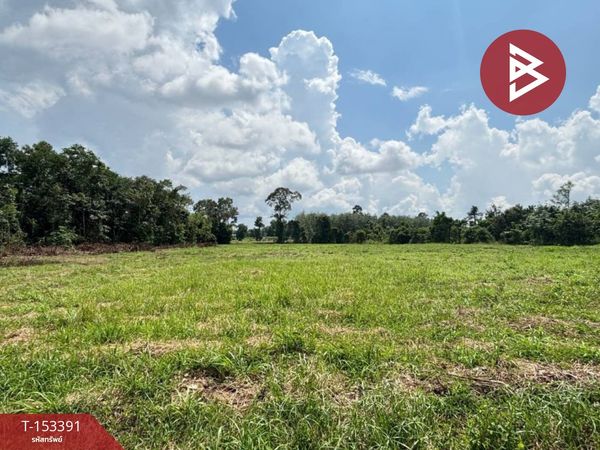 Land for sale, area 7 rai 86 sq m, Ban Khai, Rayong.