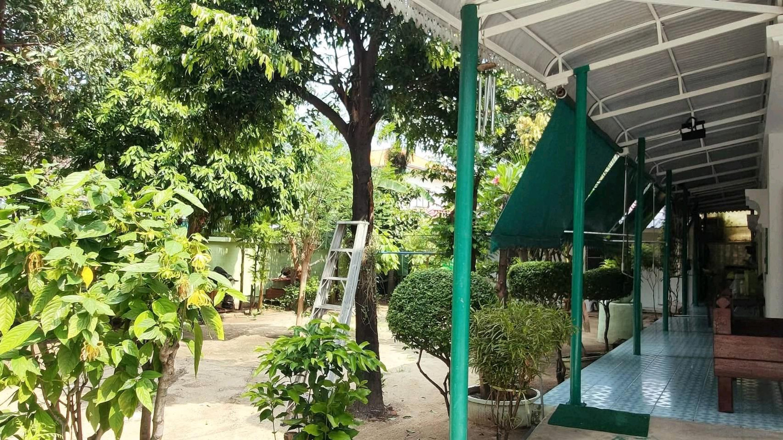 🏡 บ้านเดี่ยว ลาดพร้าว 41 ซอย 10 (ซอยมั่งมี) – รูปที่ 2