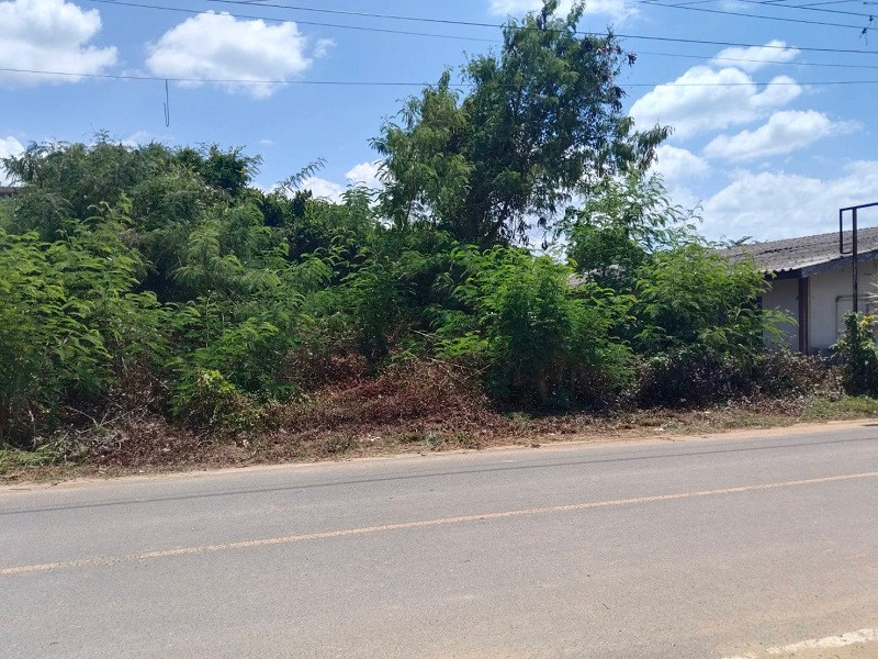 HOT DEAL! Land for sale, yellow layout, 2.5 rai, Mai Khao-Phuket, close to the airport, 1 km., build a pool villa-hotel. – รูปที่ 4